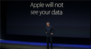 Will Apple&#39s use of differential privacy when gathering customer&#39s data succeed?
