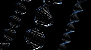 Malware DNA identification to give an end to malicious software?